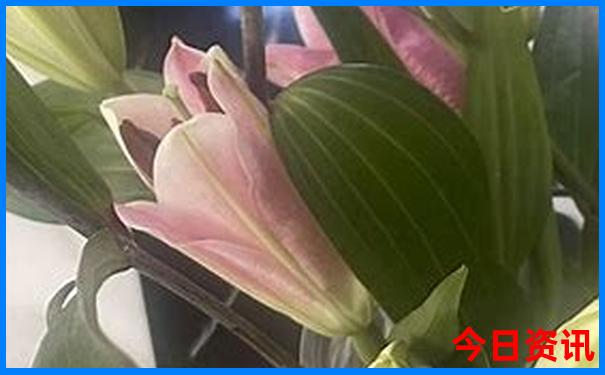 两个人去哪里玩比较好